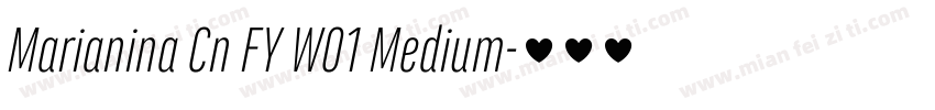 Marianina Cn FY W01 Medium字体转换